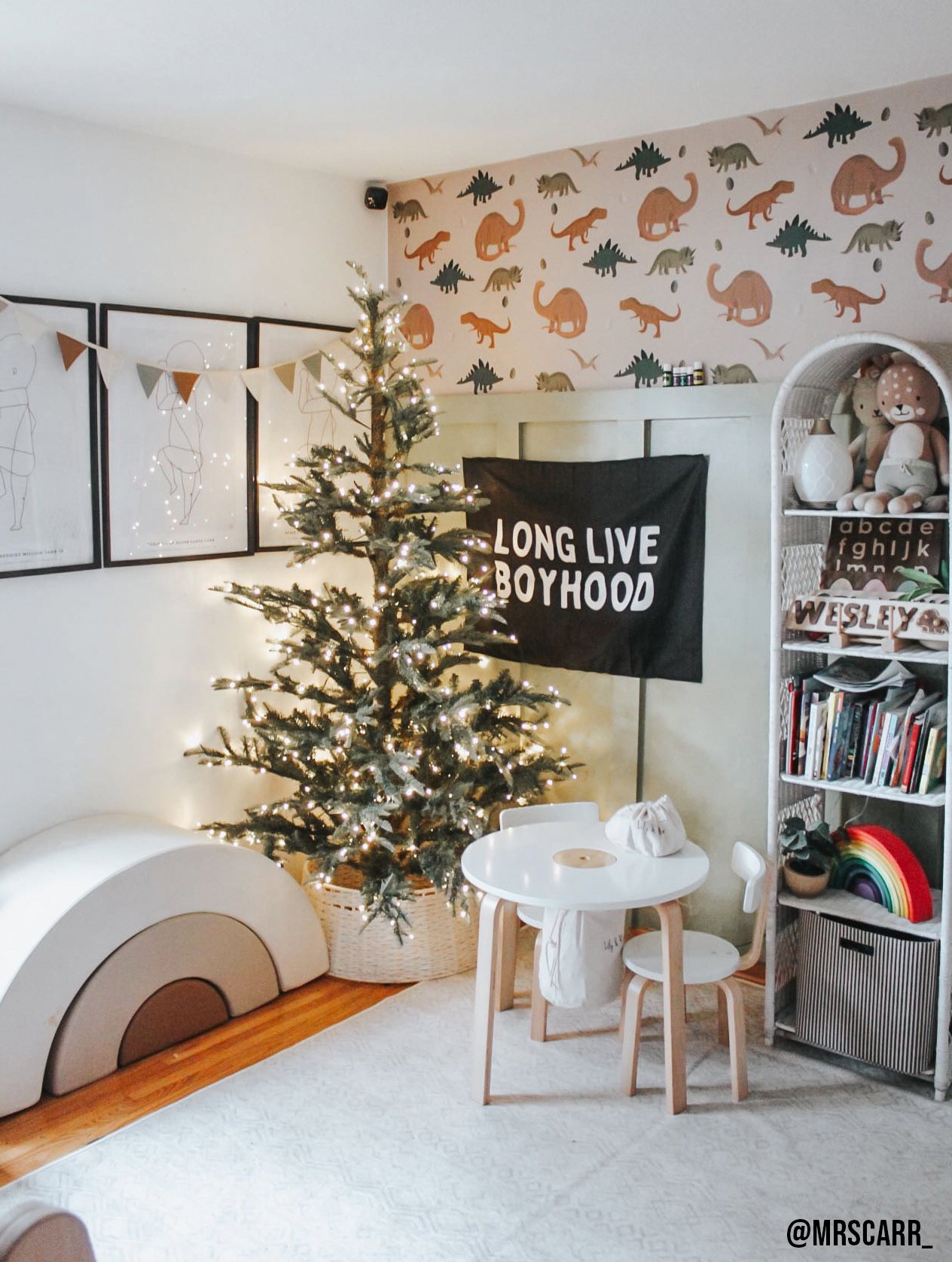 Long Live Boyhood Banner | Fabric Wall Sign